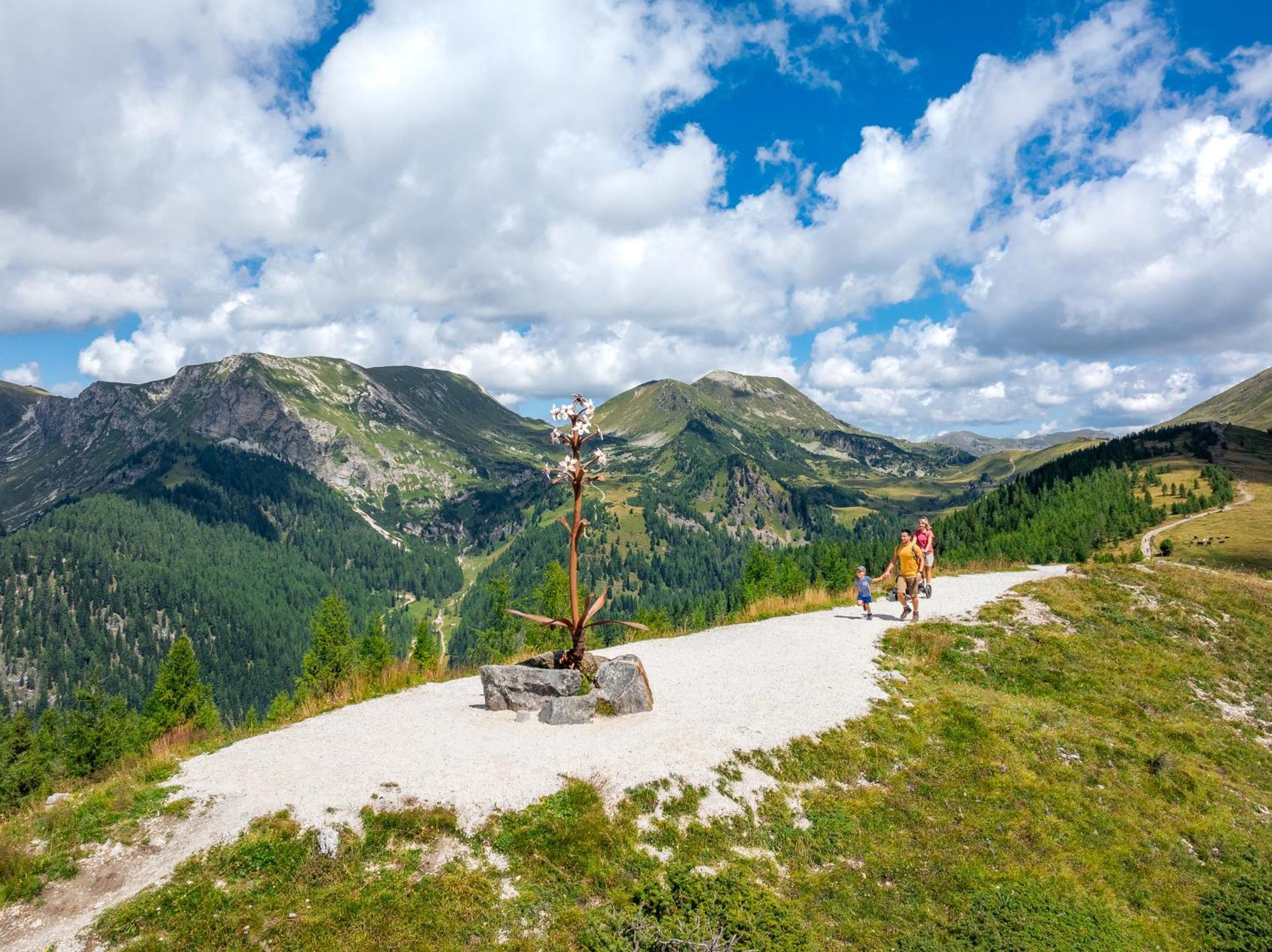Residence Alba Montis Bad Kleinkirchheim Exteriér fotografie